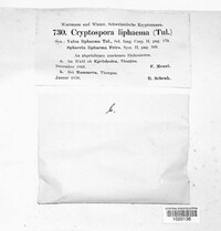 Image Associated With the Occurence